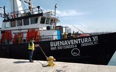 Reapertura COEPRIS BC áreas de cosecha de moluscos bivalvos al sur de la entidad