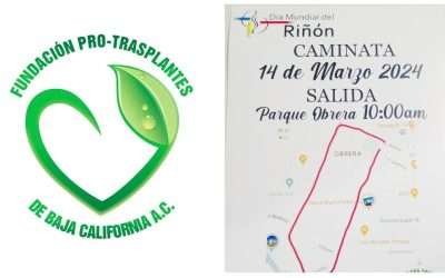 Invita Comité Pro Trasplantes a caminata por el Día Mundial del Riñón