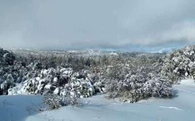 Exhorta Protección Civil a no visitar sierras