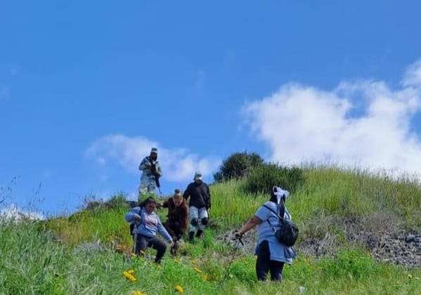 búsqueda desaparecidos