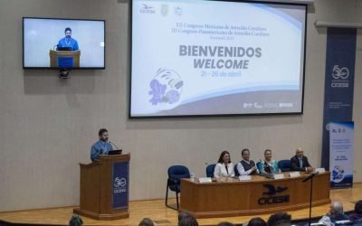 Desaparecieron el 30% de los ecosistemas marinos, en los últimos diez años