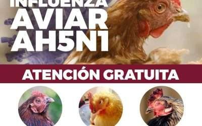 Exhorta SADER a ganaderos a prevenir y reportar casos de gripe aviar