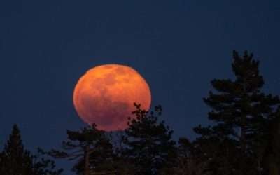 La luna rosa y su significado