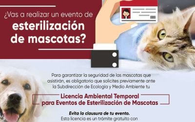 Suspenderá Gobierno de Ensenada jornadas de esterilización sin licencia ambiental