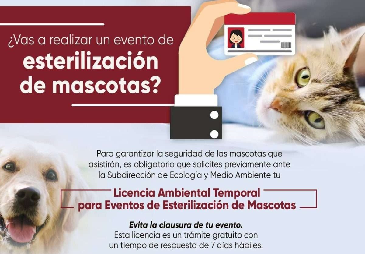 esterilización
