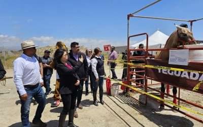 Impulsa SADER BC a pequeños ganaderos en la Expo Agro San Quintín 2024