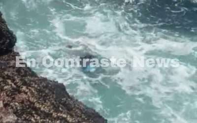 Rescatan Bomberos cuerpo de hombre ahogado tras lanzarse de acantilado