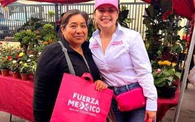Yo trabajaré por la gente: Cristal Zavala