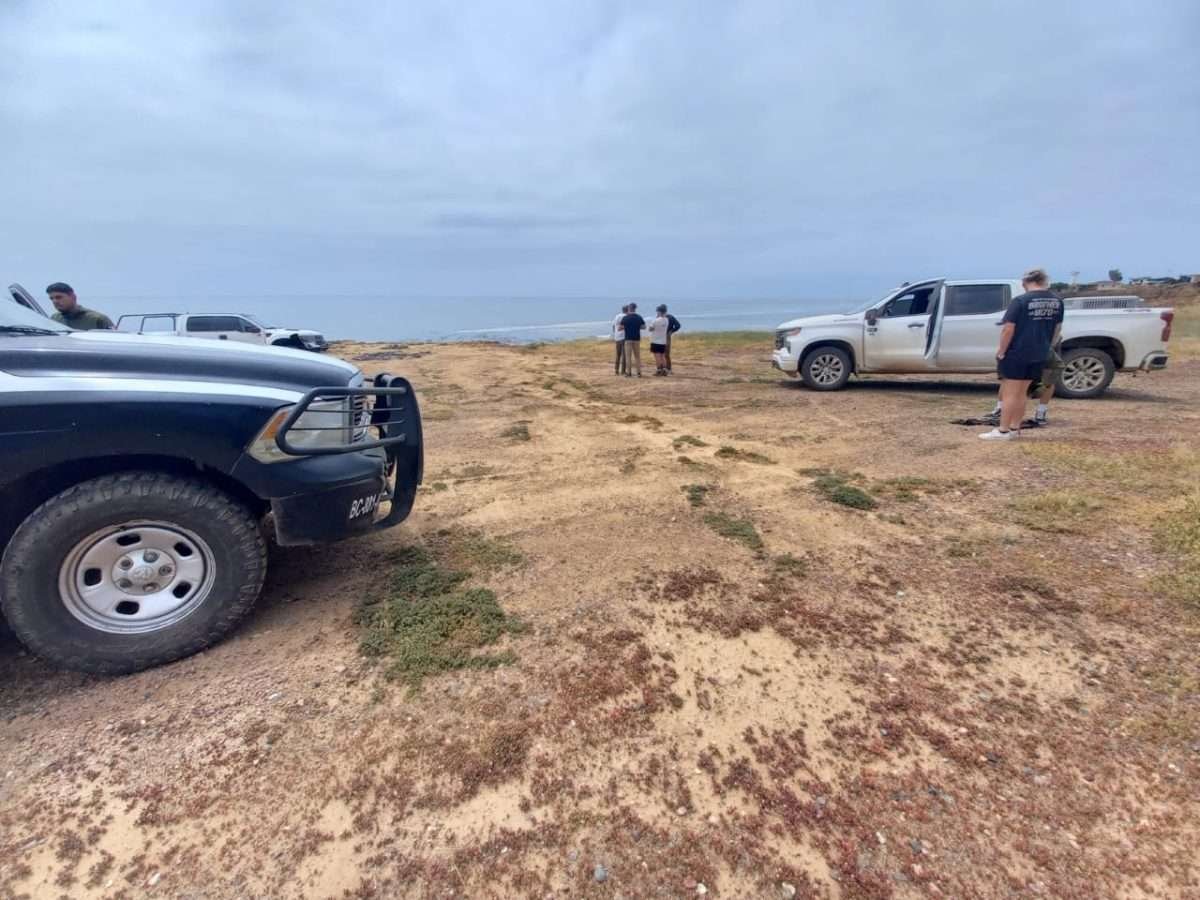 busqueda extranjeros