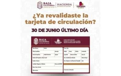 Vence este 30 de junio plazo para revalidar tarjeta de circulación
