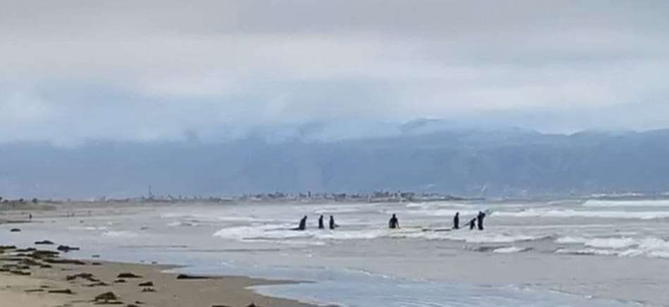 Playa corona