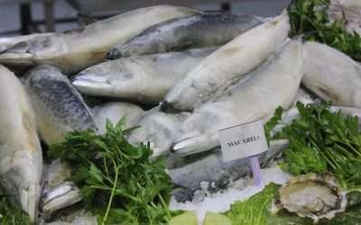 Busca SEPESCA consolidar lazos comerciales de Japón en Baja California