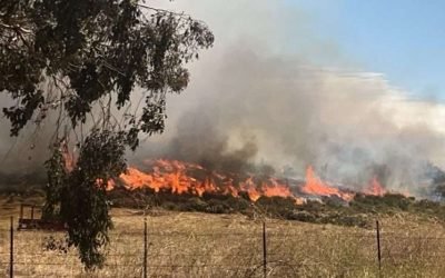 Consume 600 hectáreas incendio en Valle de Guadalupe, se dirige a la sierra
