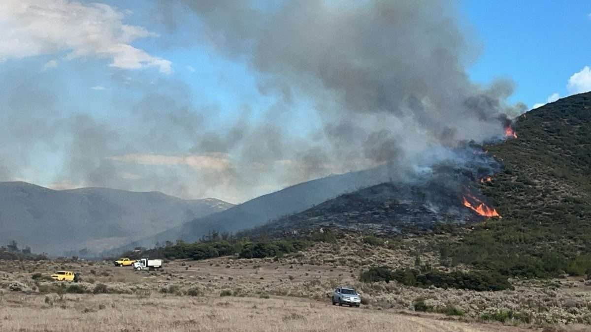 incendio valle guadalupe