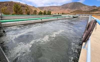 Rehabilitadas al 100% plantas de tratamiento El Gallo y Noreste