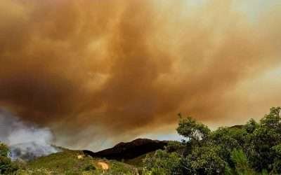 Declaran Sesión Permanente del Consejo Municipal de Protección Civil ante temporada de incendios forestales