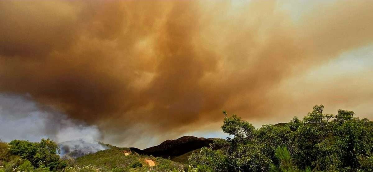 incendios forestales