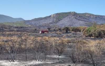 Informa alcalde 85% de control en incendio de paraje en Rancho El Mogor