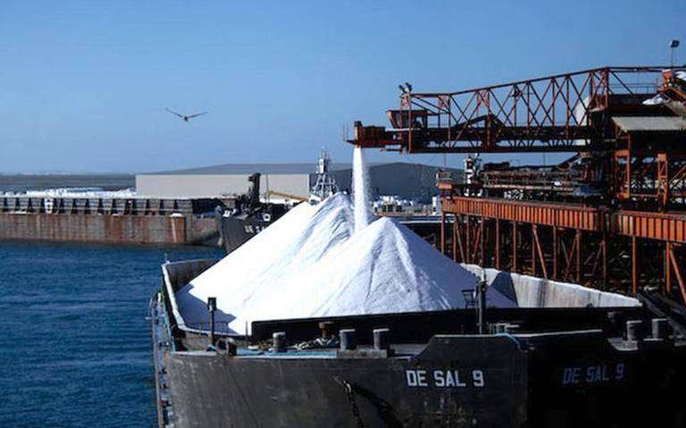 exportadora de sal