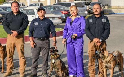 Obtiene Unidad K-9 de la FGE certificación internacional