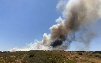 Atiende SADER incendio forestal en Tecate