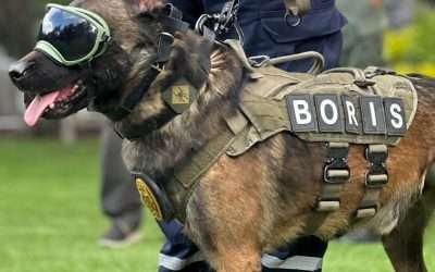 Nombran a «BORIS» K9 de la FESC el mejor perro táctico del 2023
