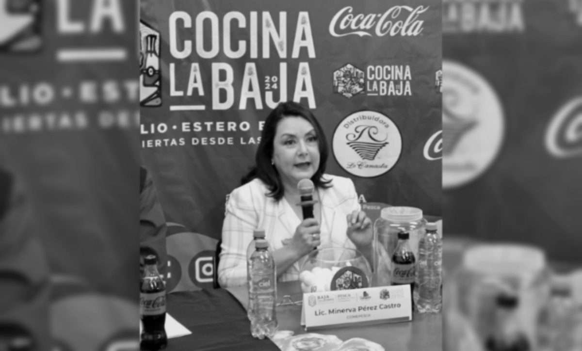 Minerva Pérez Castro 