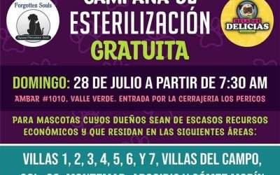 Realizará 4 Patas Campaña Gratuita de Esterilización Canina y Felina