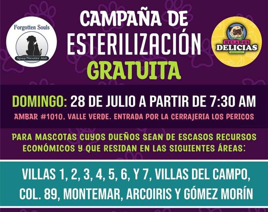 campaña de esterilización