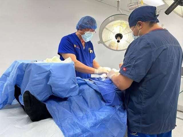 cirugía sin bisturí