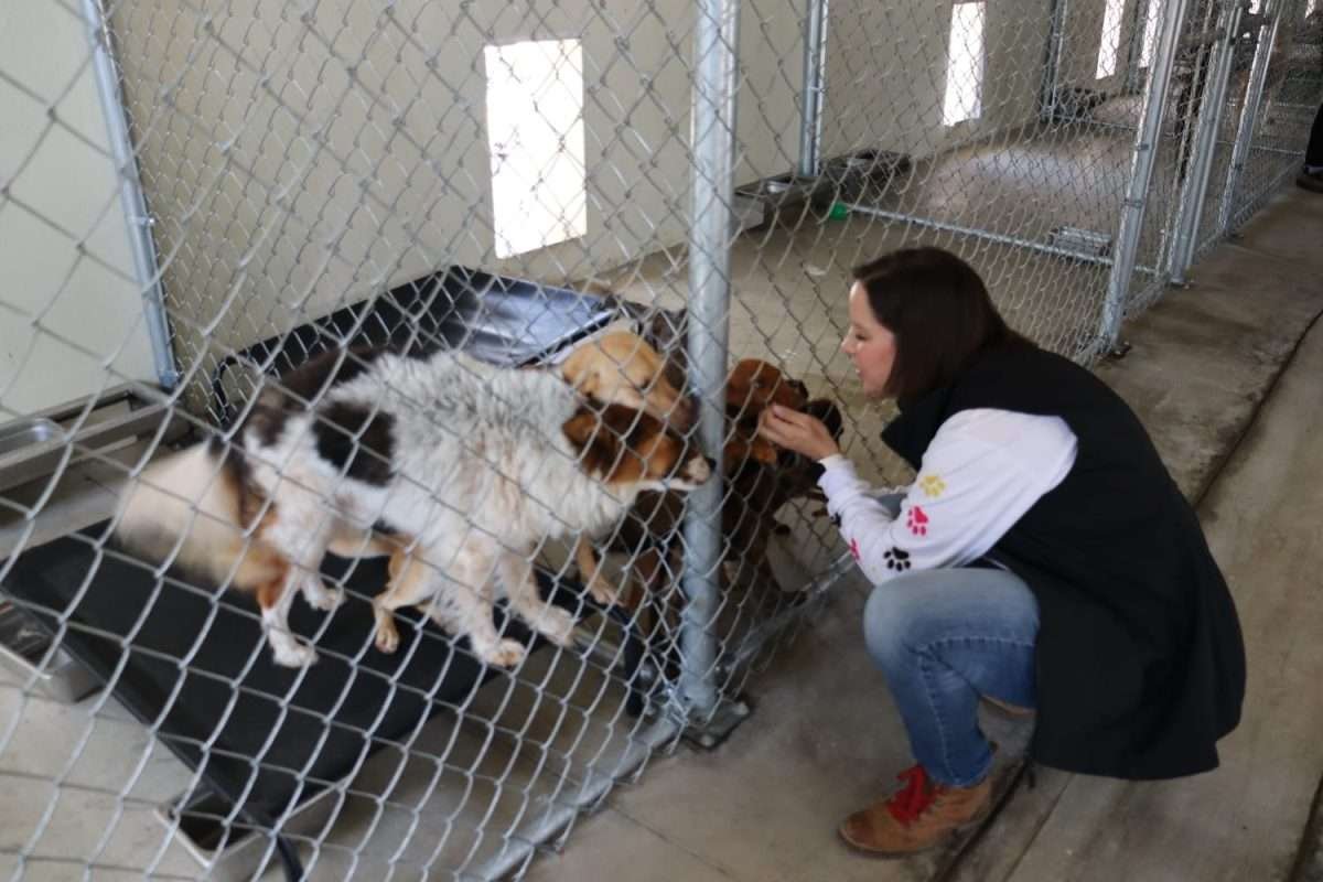 secretaria medio ambiente