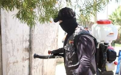 Más de mil ovitrampas en Ensenada para evitar moscos transmisores de dengue, zika y Chikungunya