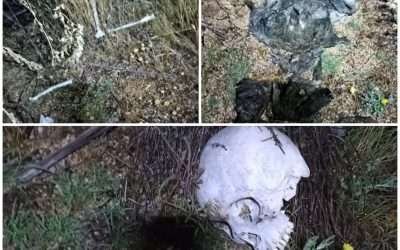 Localizan restos humanos cerca de secundaria de Ejido Héroes de la Independencia