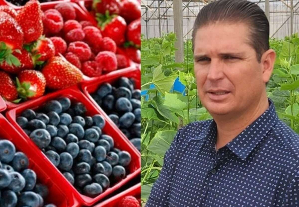 Walberto Solorio Meza 