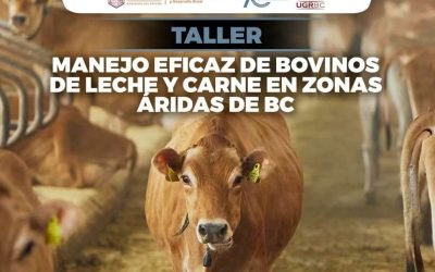 Invita SADER a taller sobre «Manejo Eficaz de Bovinos de Leche y Carne en zonas Áridas de BC»