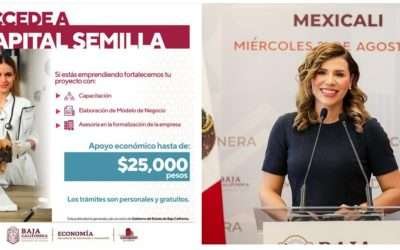 Impulsa Marina del Pilar oportunidades para emprendedores con ¨Capital Semilla 2024¨