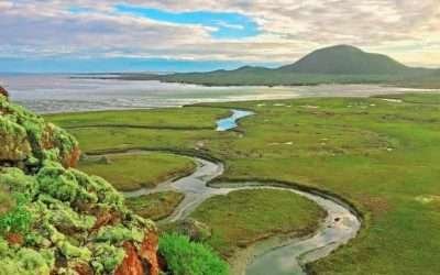 Refuerzan autoridades trabajos de preservación de áreas naturales en BC