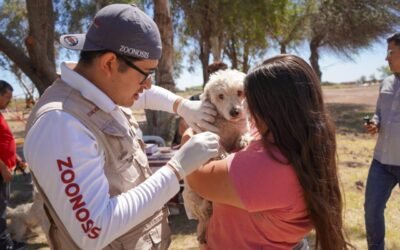 Vacunación gratuita para mascotas en Jornada Nacional contra la Rabia