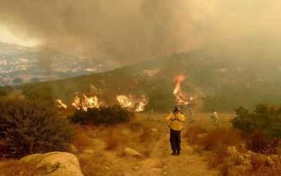 Incendio forestal en Tecate ha consumido 5 mil hectáreas