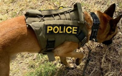 Localiza FGE restos óseos en operativo de búsqueda camino a La Bocana