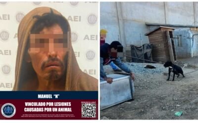 Logra FGE vincular a proceso a dueño de perro que atacó a un hombre