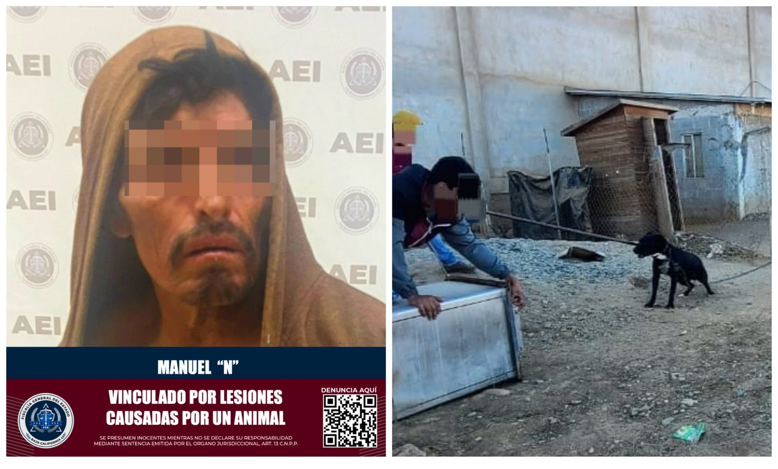 Detenido perro Atacante