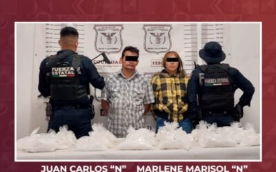 Trasladaban 20 kilos de metanfetamina en Mustang; La FESC los detuvo en Ensenada