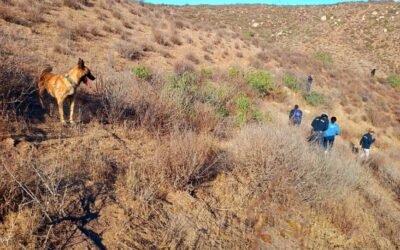 Desplegó FGE Operativo de Búsqueda de Personas en Cañón de Doña Petra y El Roble