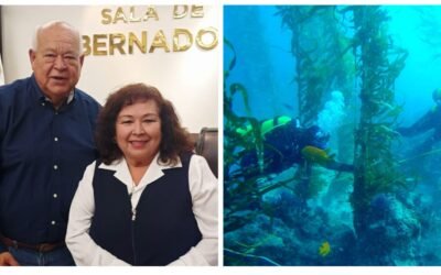 Unen esfuerzos ambas BajaCalifornias en la Conservación de Bosques de Macroalgas