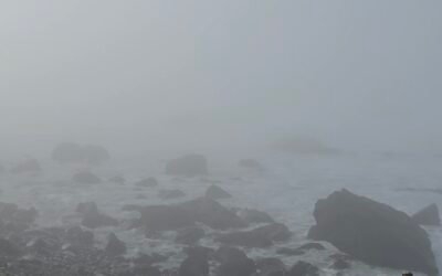 Ordenó Capitanía cierre de puertos de Ensenada y El Sauzal