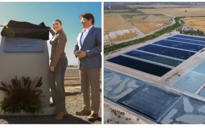 Inauguró gobernadora Marina del Pilar humedal artifical en Mexicali