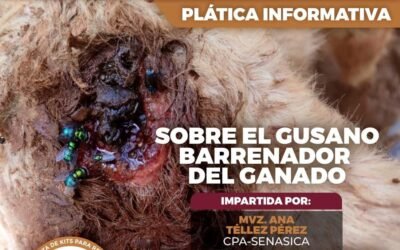 Invita SADER a plática informativa sobre “El Gusano Barrenador del Ganado”