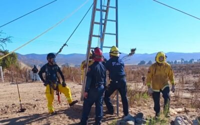 Localizan restos óseos en ¨Operativo de Búsqueda¨ en San Quintín
