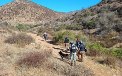 Localizó FGE restos óseos en Jornada de de Búsqueda en Ejido El Pípila